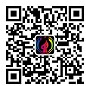 软著申请顾问阿杜